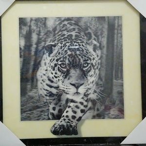 Framed 3D picture - Leopard in the jungle